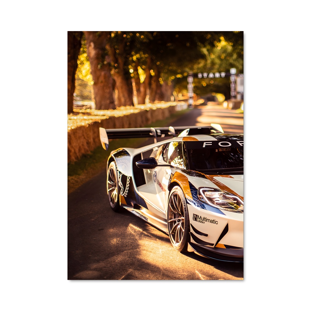 Poster Vitesse élégance prestigieux